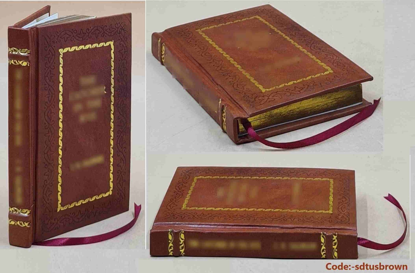 Cleopatra: The Egyptian Queen: The Entire Life Story By [Premium Leather Bound]