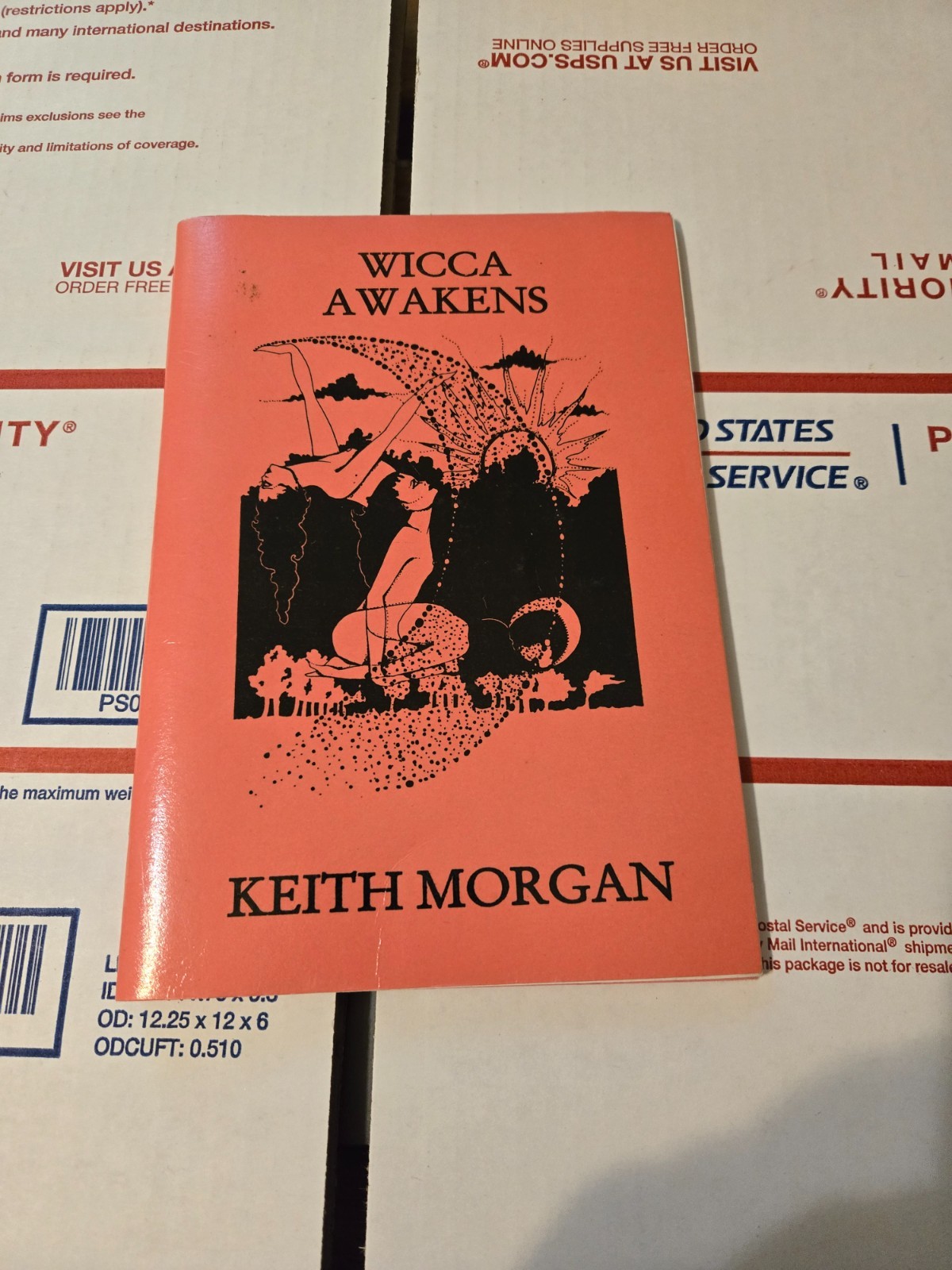 Wicca Awakens Keith Morgan 1992