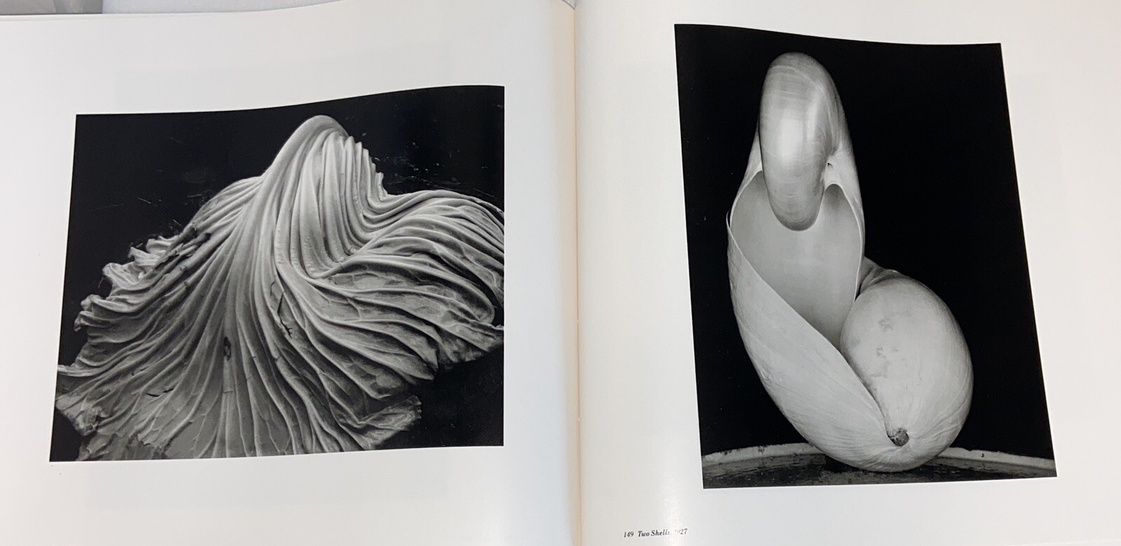 Edward Weston 50 years The definitive Book of his photographs HB Good 1973