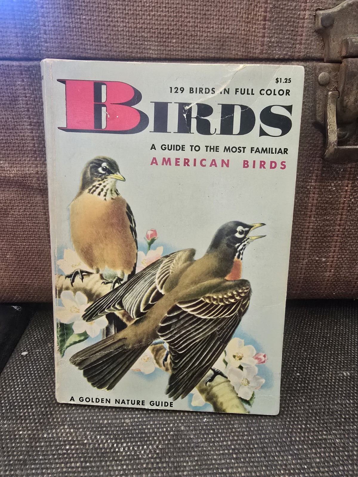Birds Golden Nature Guide Book 1956 Paperback Vintage Pocket Book American Birds