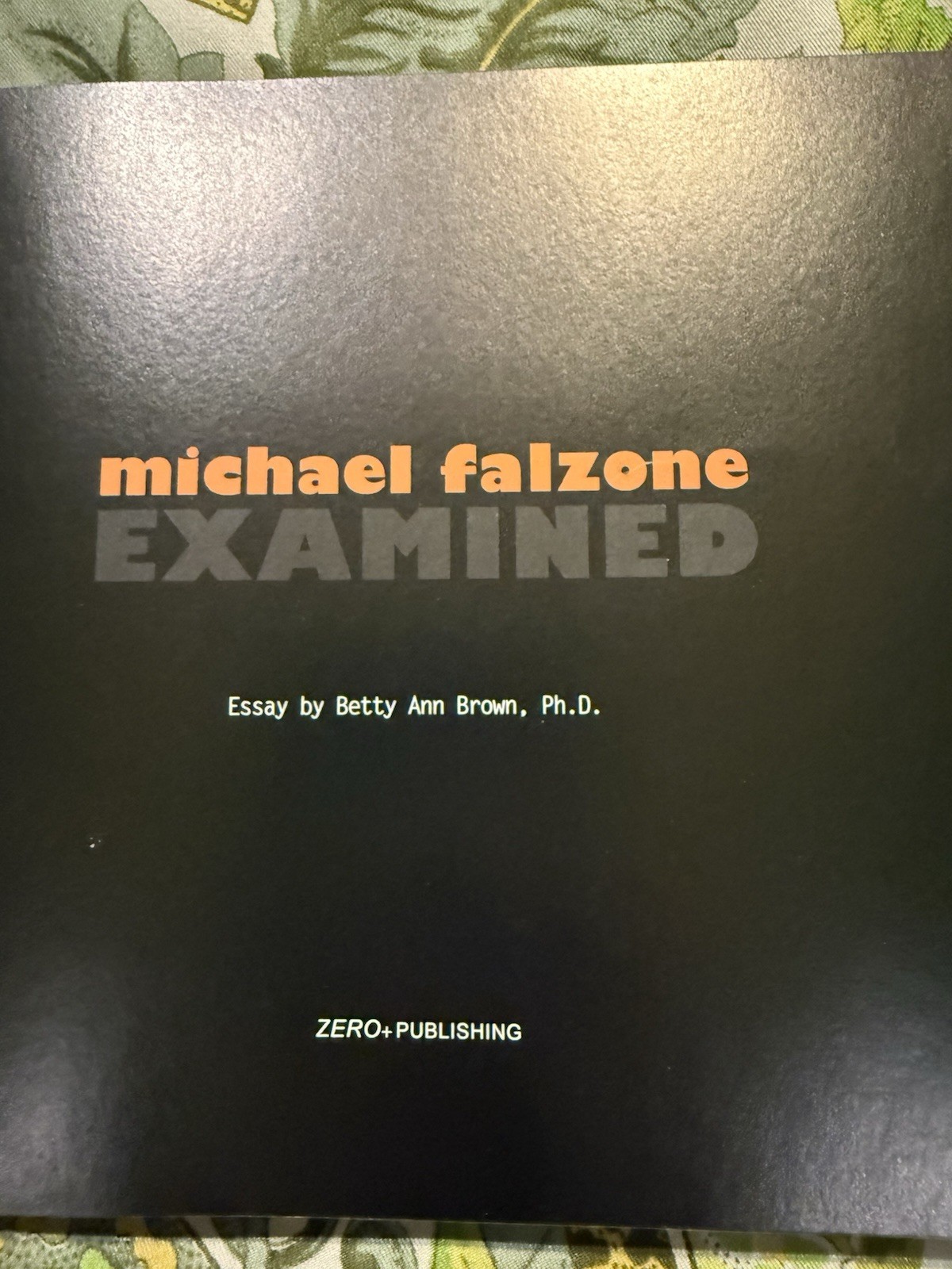 SIGNED First Ed. Hardcover EXAMINED /MICHAEL FALZONE Calif. ART/ Memoir 2011