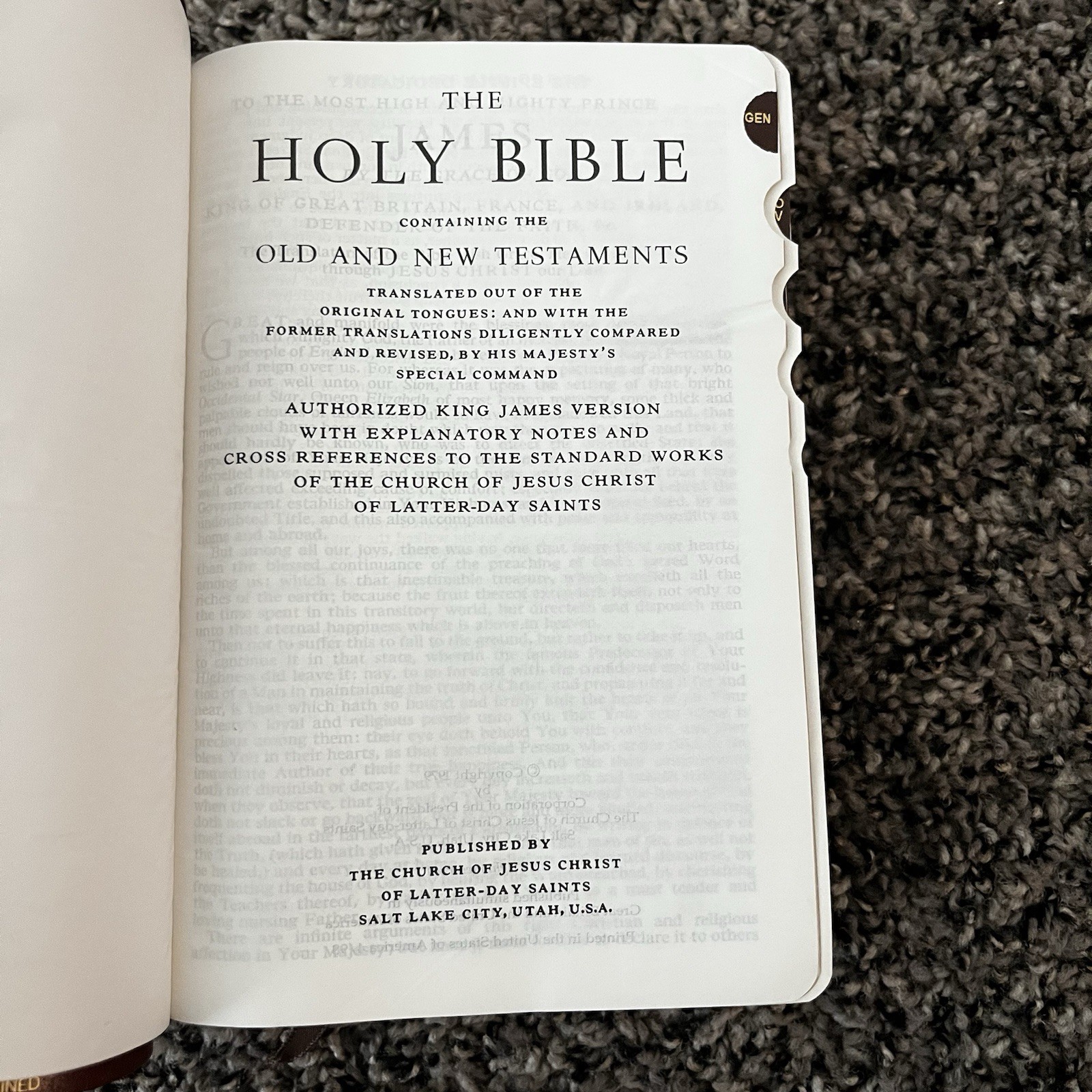 Brown Leather LDS Scripture Set – Holy Bible Book Of Mormon D&C Tabbed 5.25×7.5”