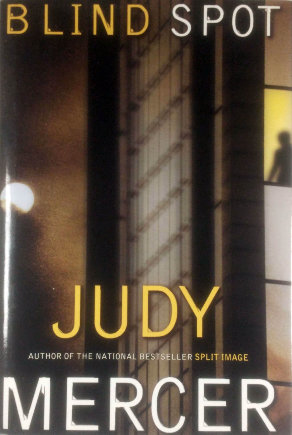 Blind Spot by Judy Mercer / 2000 Hardcover BCE Suspense