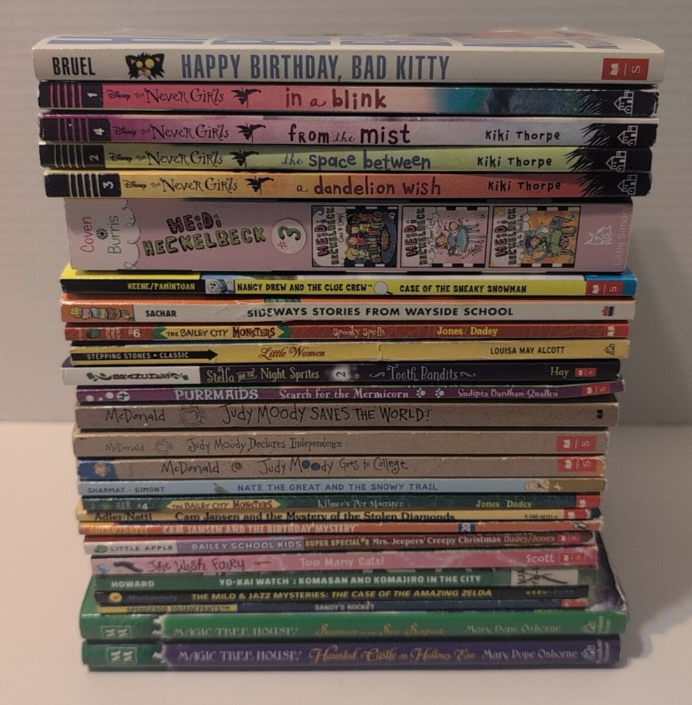 Lot of 26 Early Chapter GIRLS Books RL AR 3.0-3.9 Grade 3 Classroom Homeschool