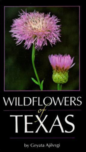 Wildflowers of Texas by Ajilvsgi, Geyata