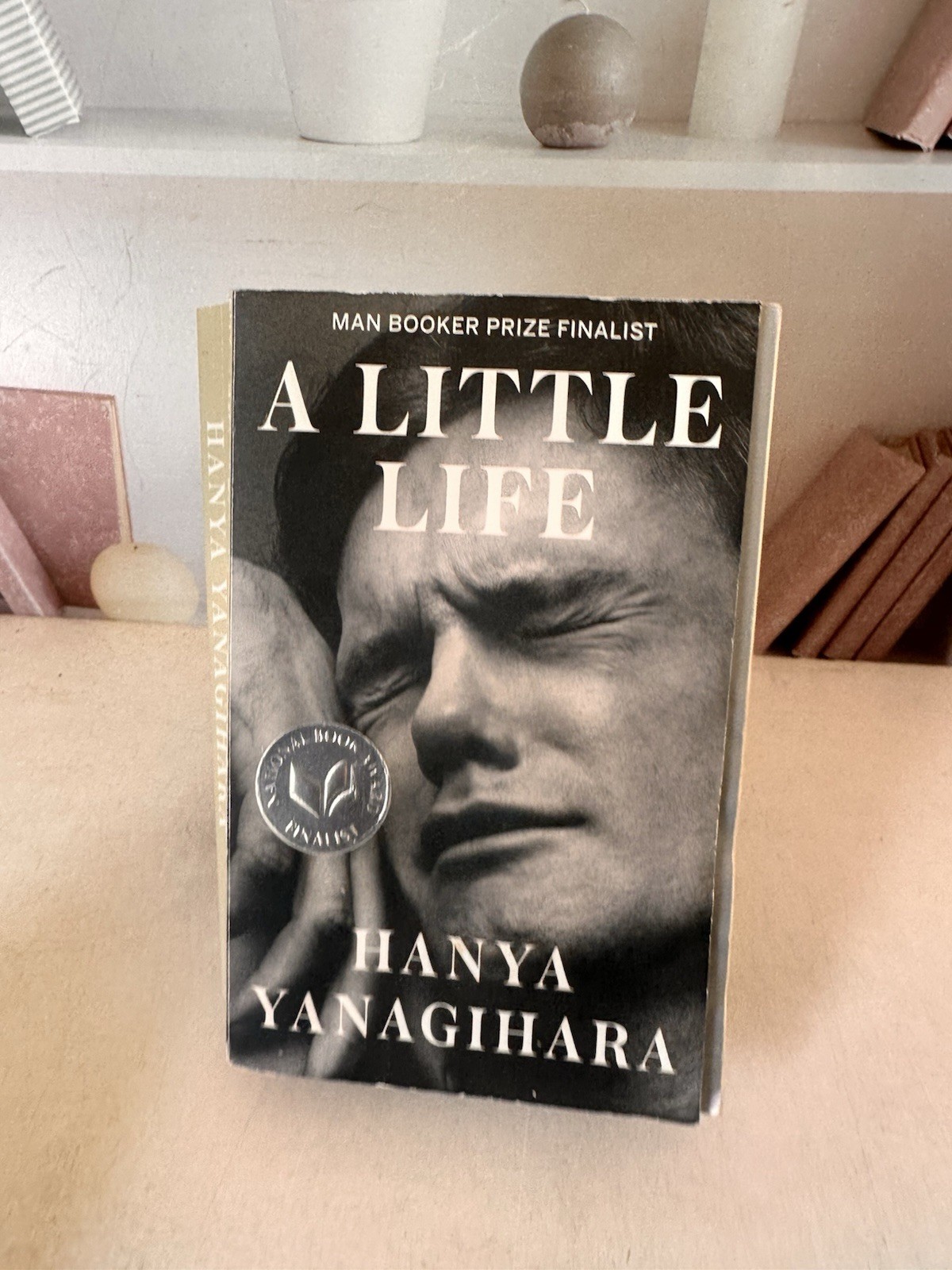 Hanya Yanagihara: A Little Life, Anchor Books, Paperback, Fiction Novel, English