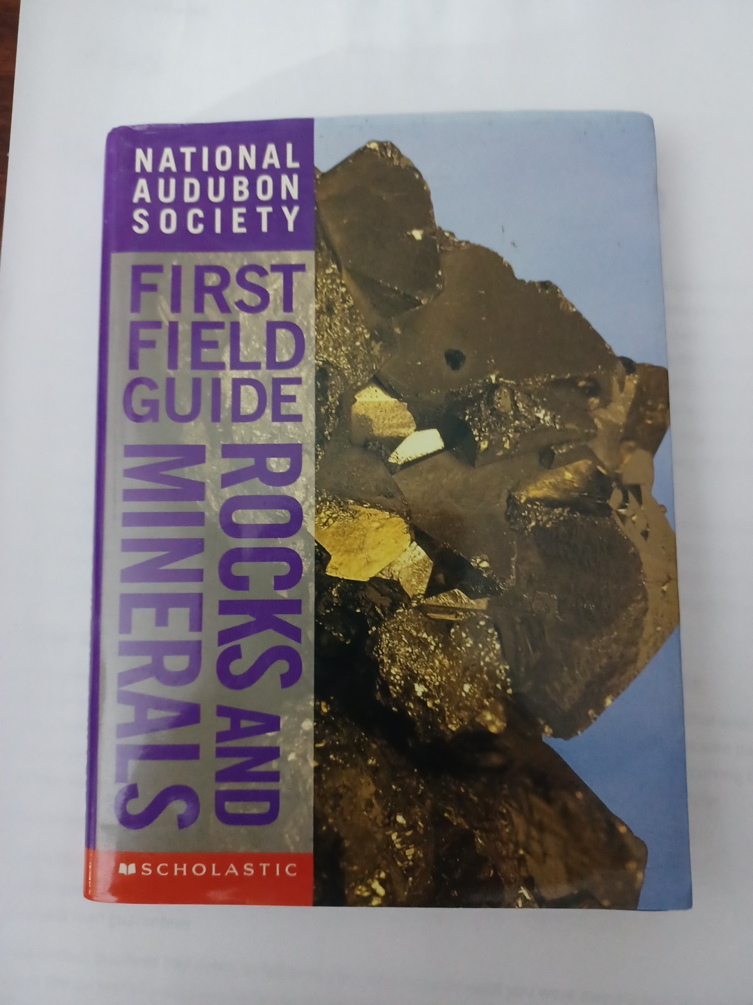 Rocks & Minerals (Audubon Guides) – Paperback By Ricciuti, Edward – GOOD