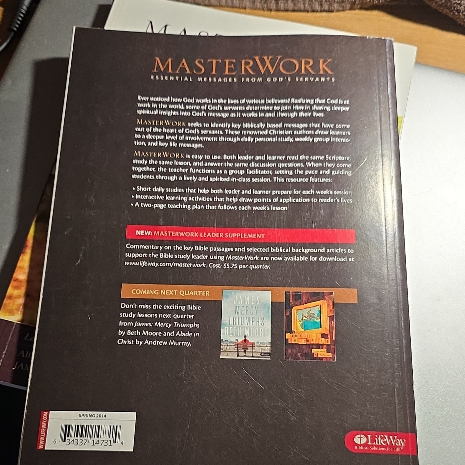 LifeWay MasterWork Adult Bible Study Paperback Various Lessons & Authors 2009
