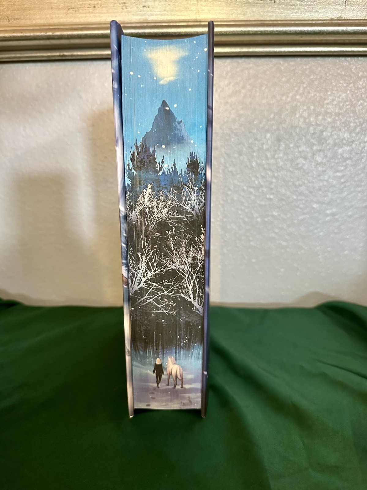 Dire Bound by Sable Sorensen FairyLoot Edition Hand Signed with FairyLoot Box