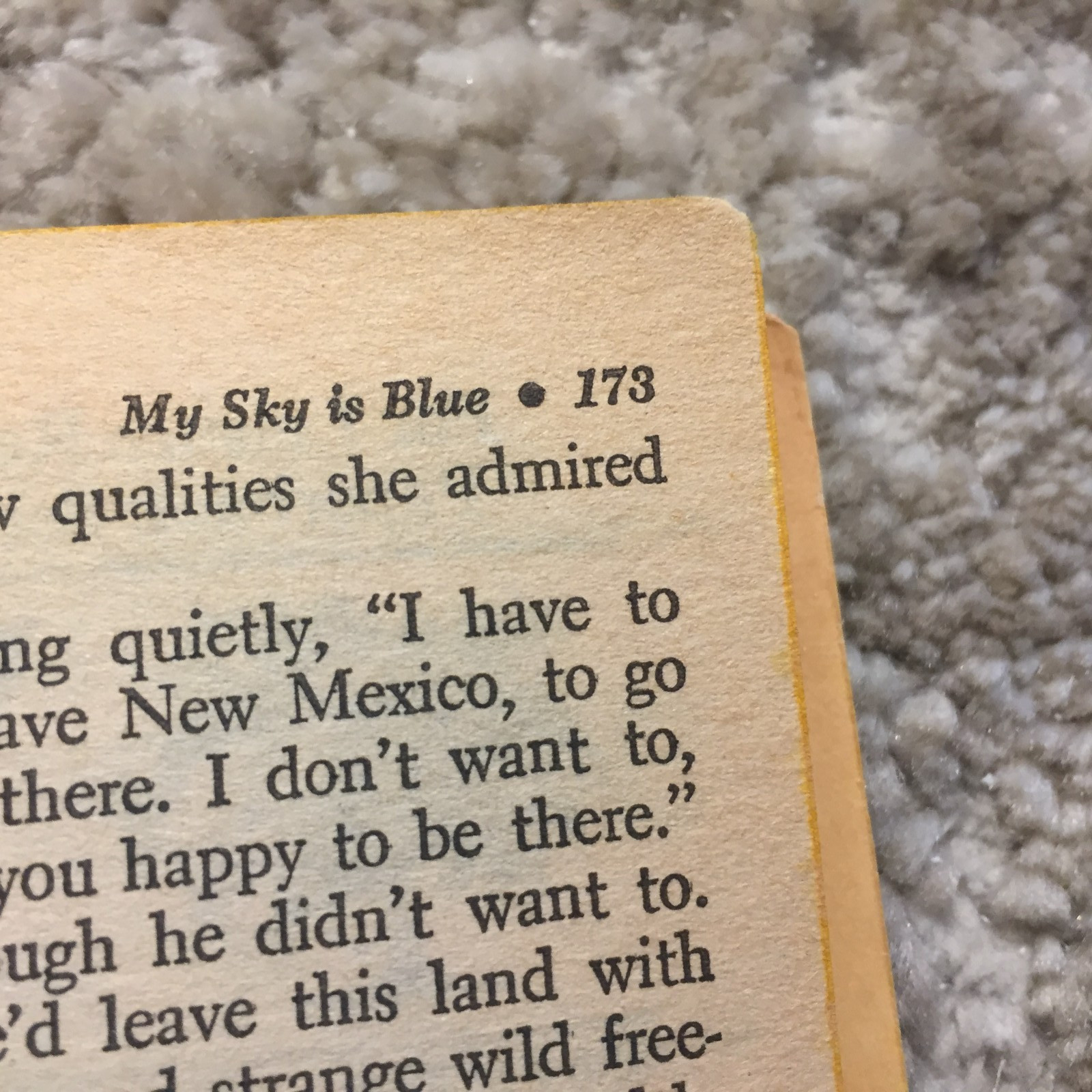 My Sky Is Blue Loula Grace Erdman 1965 Willow Books School Story Romance Book
