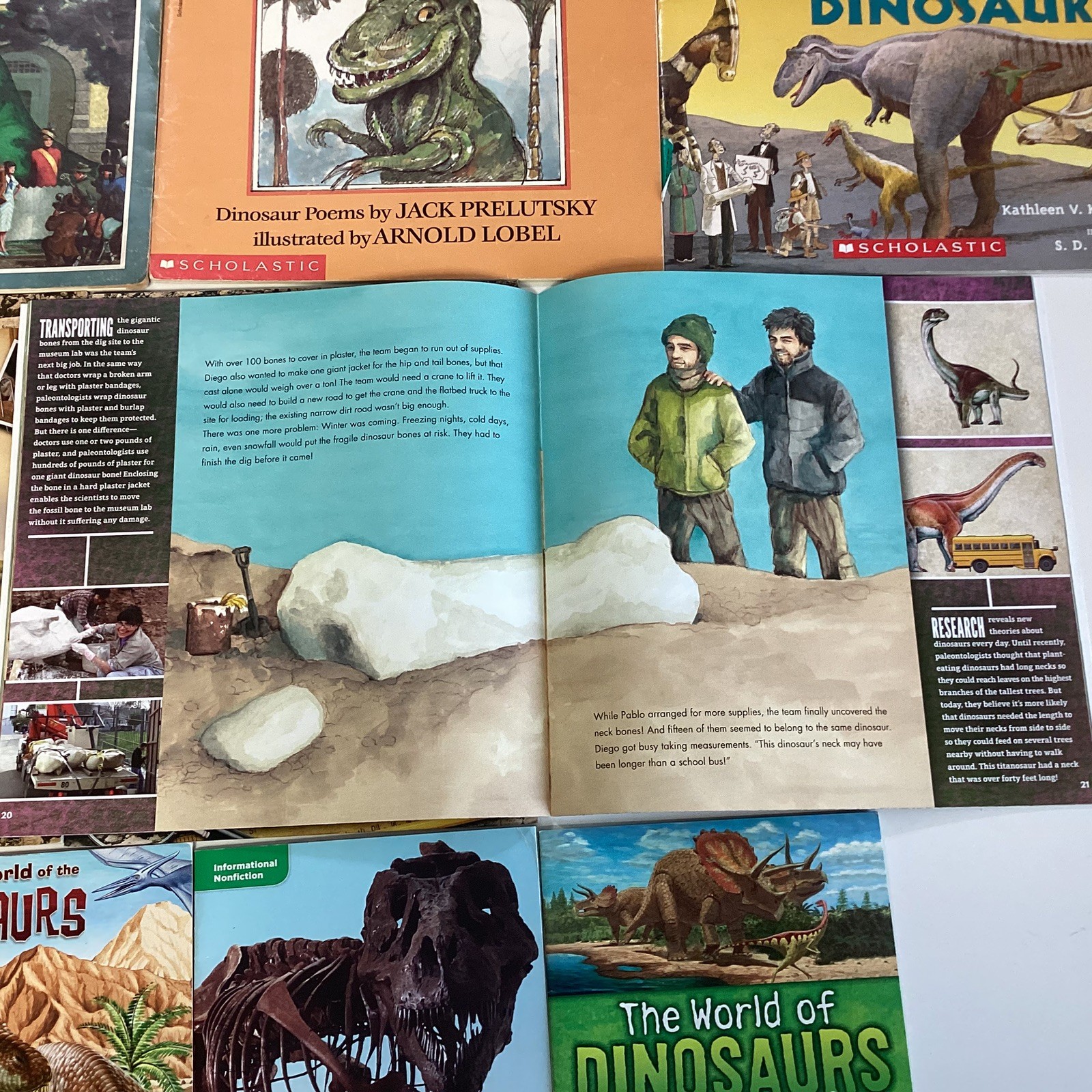 Dinosaur Informational Educational 2nd 3rd 4th Grade 16 Children’s Book Lot