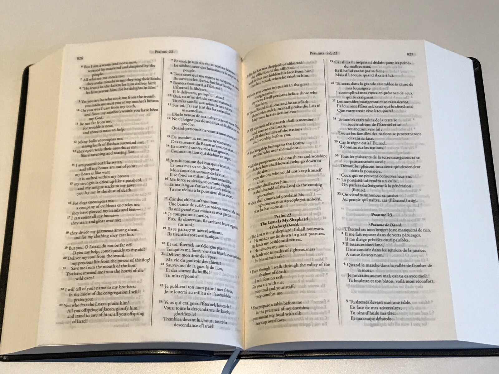 French English Parallel Bible,ESV English Standard,Revised Segond Colombe Black