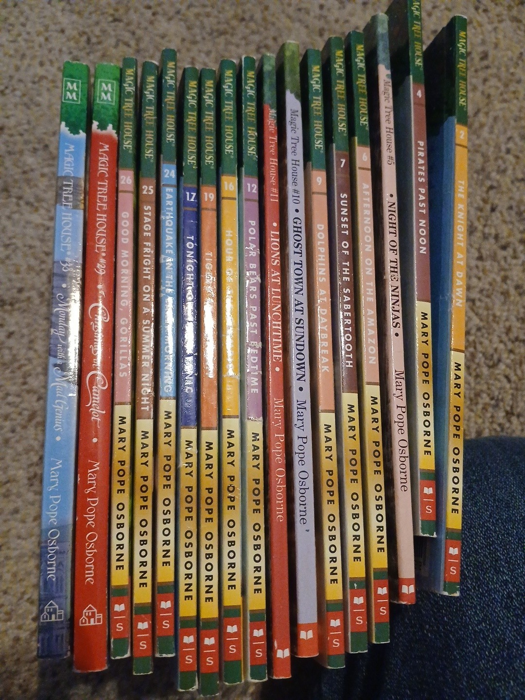 Lot of 17 Magic Tree House Books Mary Pope Osborne Childrens