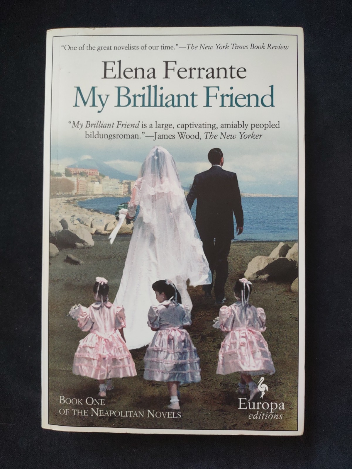 MY BRILLIANT FRIEND Neapolitan Novels Book One Softcover Ferrante Italian Author