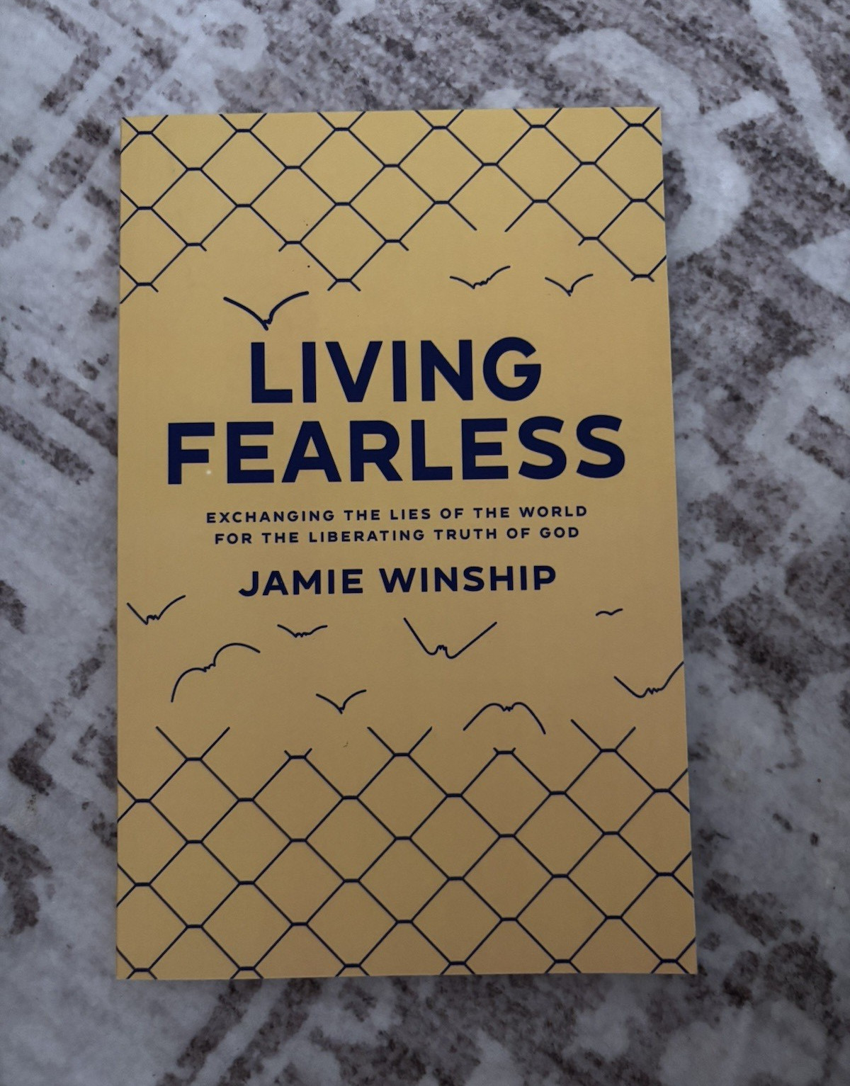 Jamie Winship Living Fearless Paperback Book, English Nonfiction Self-Help