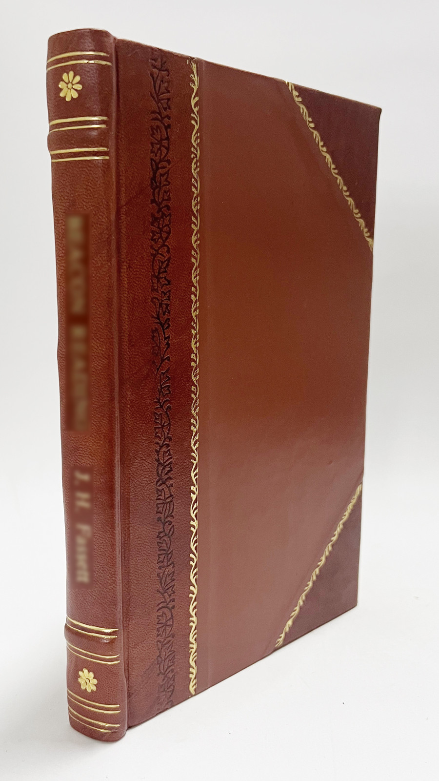 A Year for France; (1919) [Leather Bound]