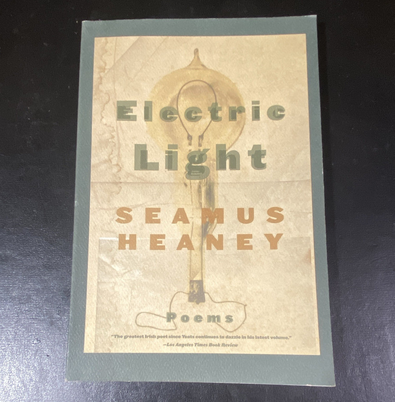Seamus Heaney Electric Light Paperback 2001 Farrar Straus and Giroux Poetry