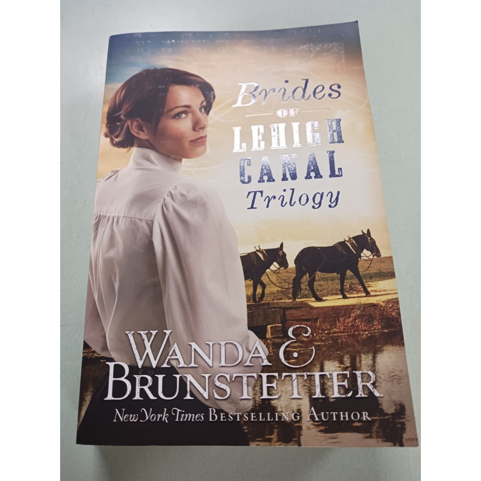 Brides of Lehigh Canal Trilogy Paperback – September 1, 2020 by Wanda E. Brunste