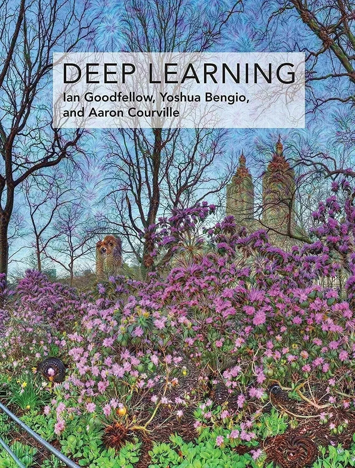 Deep Learning (Adaptive Computation and Machine Learning series)HB