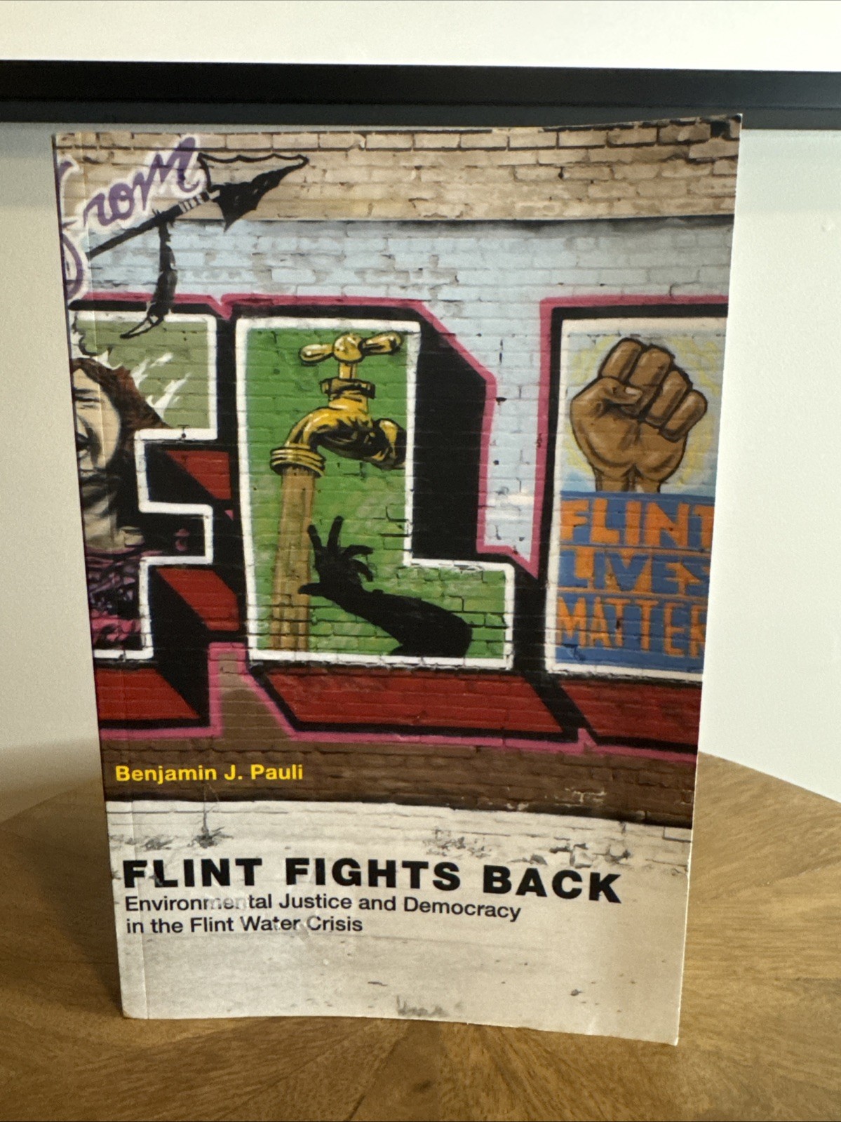 Flint Fights Back: Environmental Justice and Democracy in the Flint Water Crisis