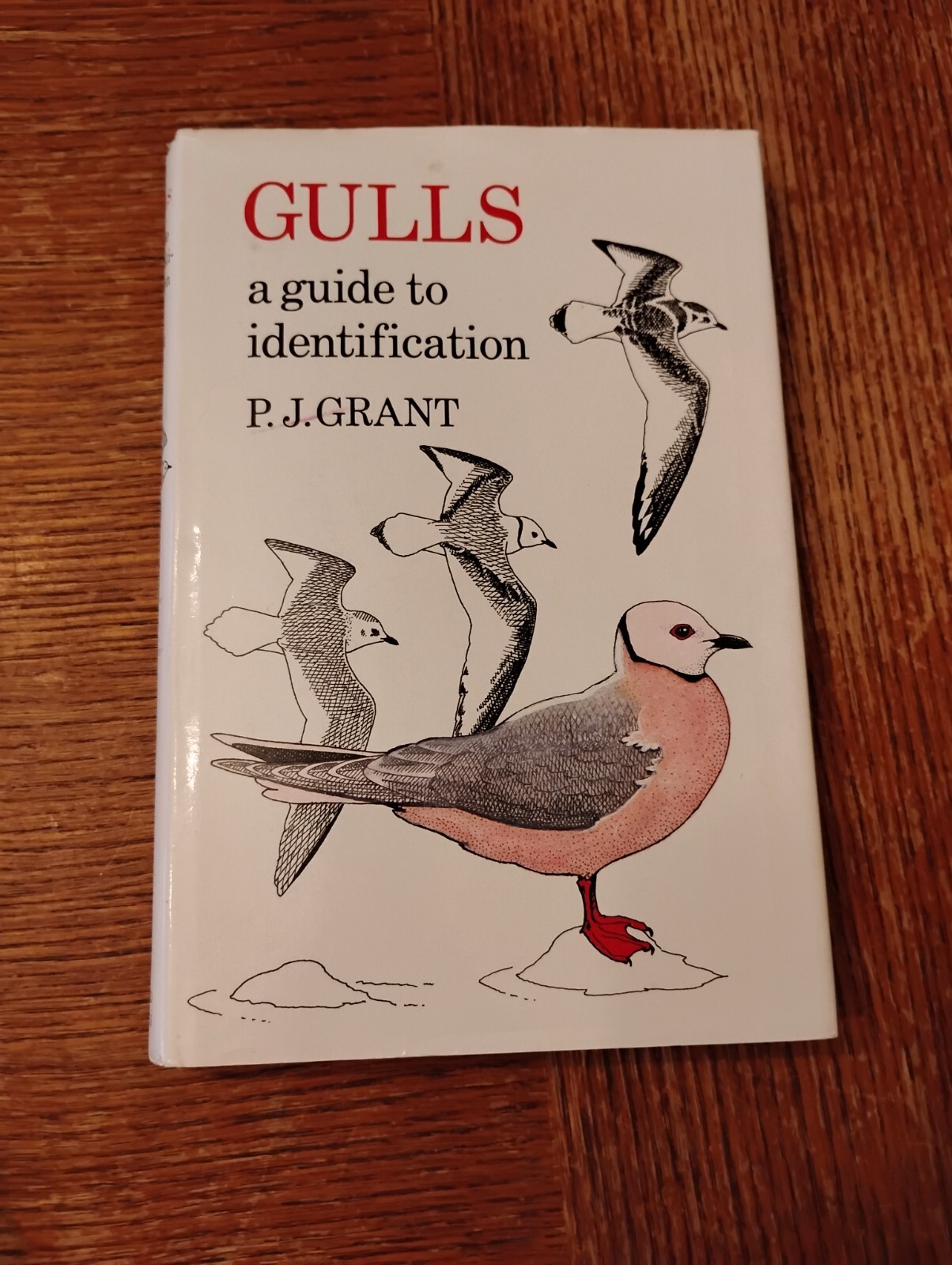 Gulls : A Guide to Identification by Peter J. Grant (1982, Hardcover)
