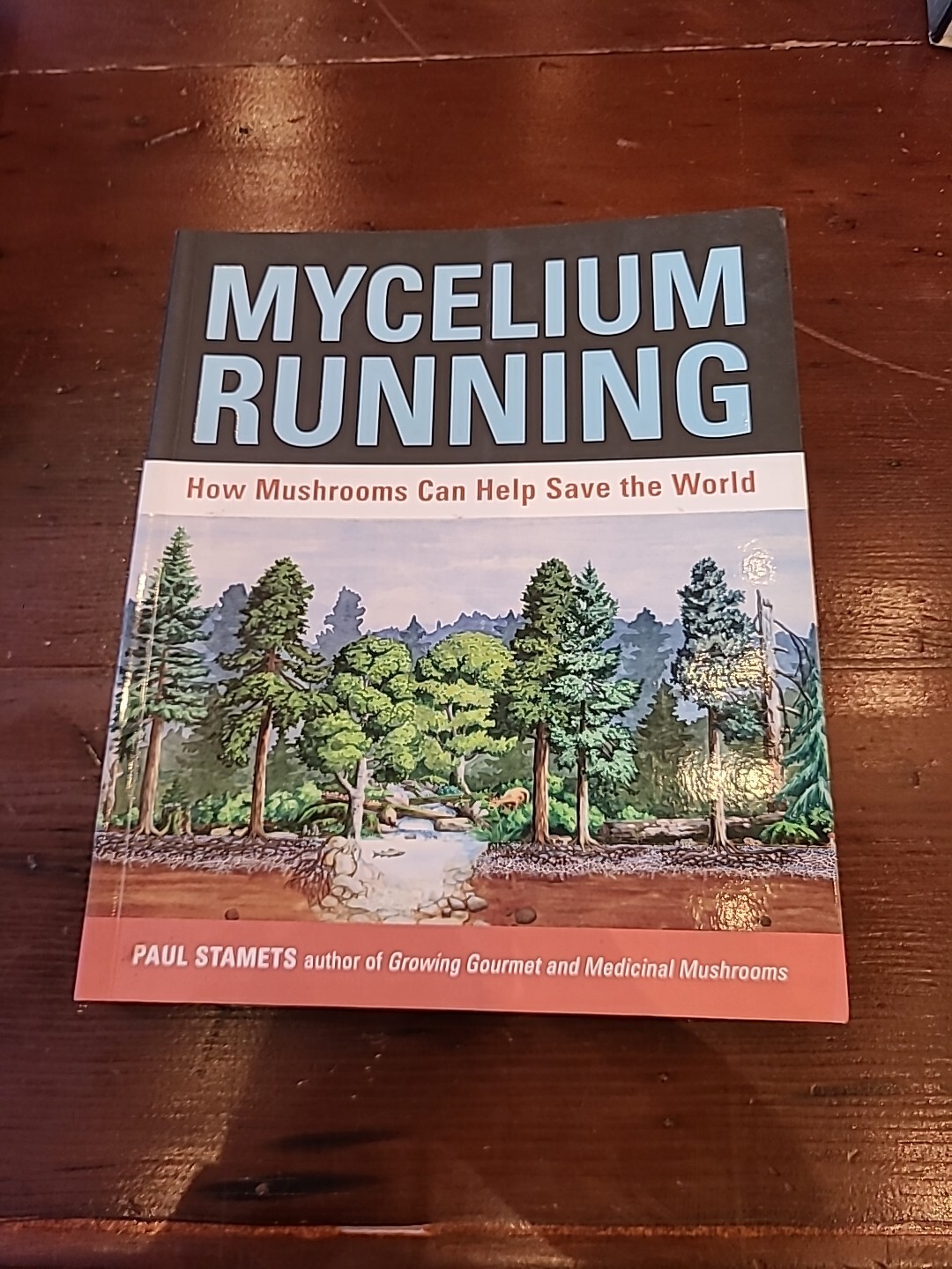 Mycelium Running: How Mushrooms Can Help Save the World by Paul Stamets