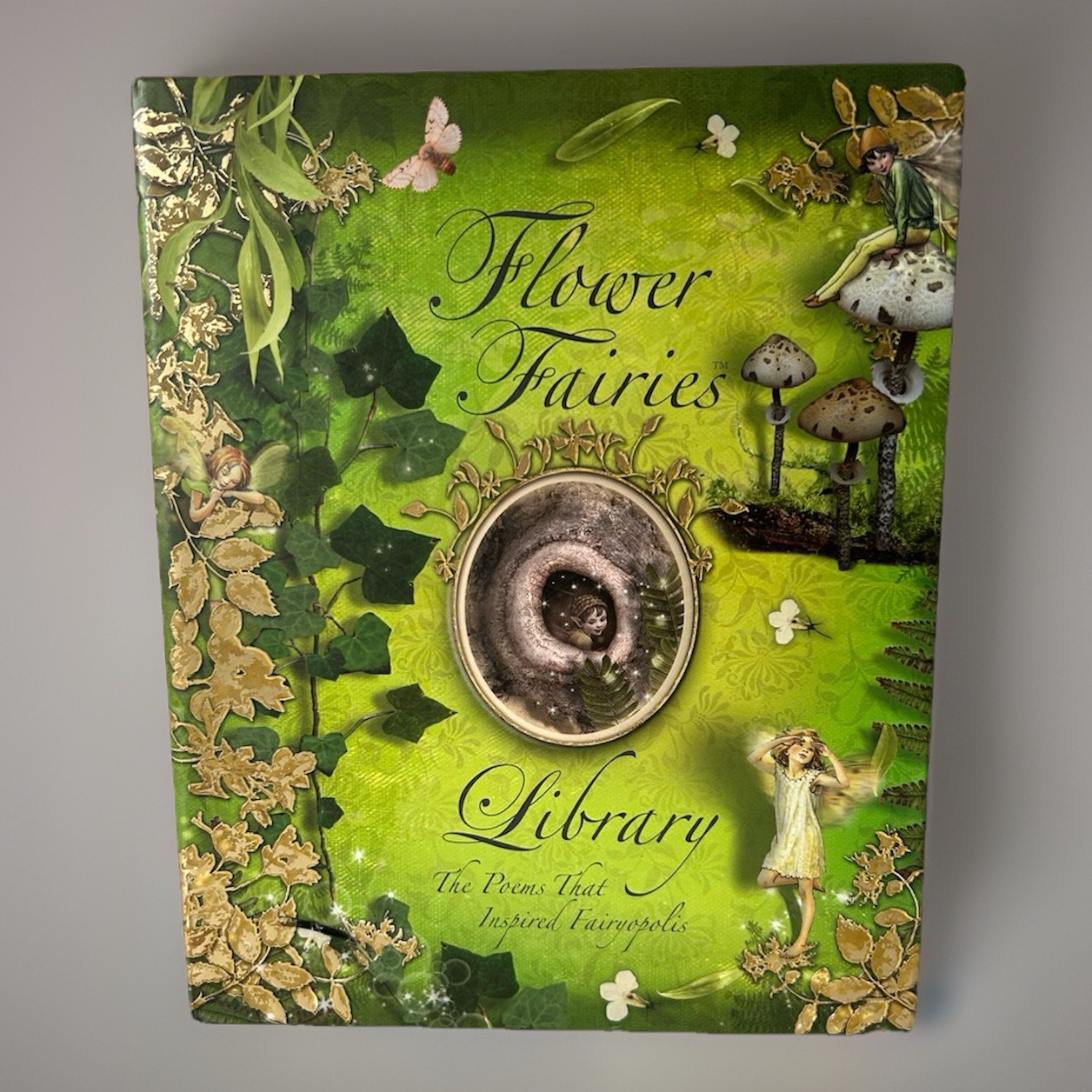 Flower Fairies Library 8 Book Boxed Set by Cicely Mary Barker-See Description