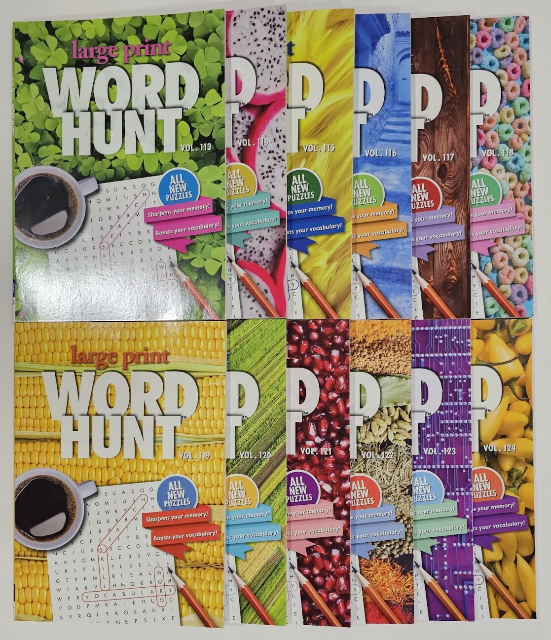 Large Print Word Hunt Puzzle Books Papp Search,Find,Game,Hobby Pick up to 20Vols
