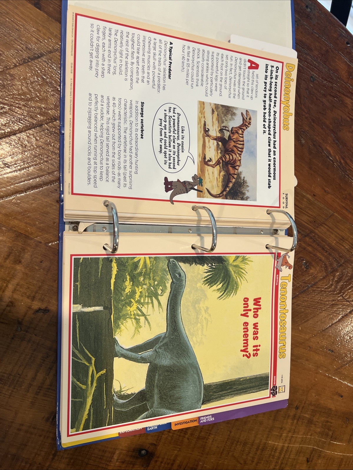 Dinosaur Cards By Collier’s Publication 1994. 3 Ring Binder