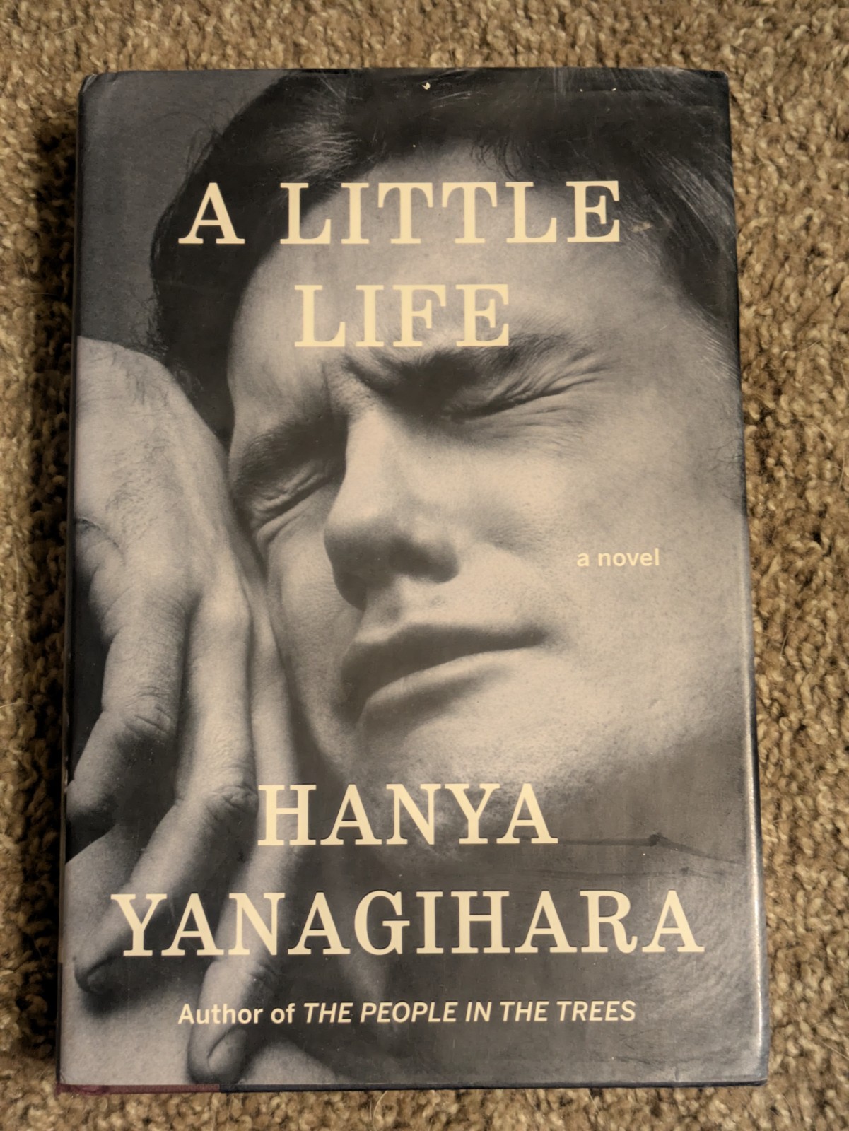 Signed 1st/1st A Little Life : A Novel by Hanya Yanagihara (2015, Hardcover)