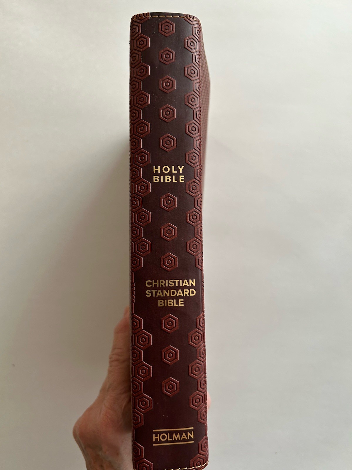 CSB Essential Teen Study Bible “LeatherTouch” Red Letter by Holman