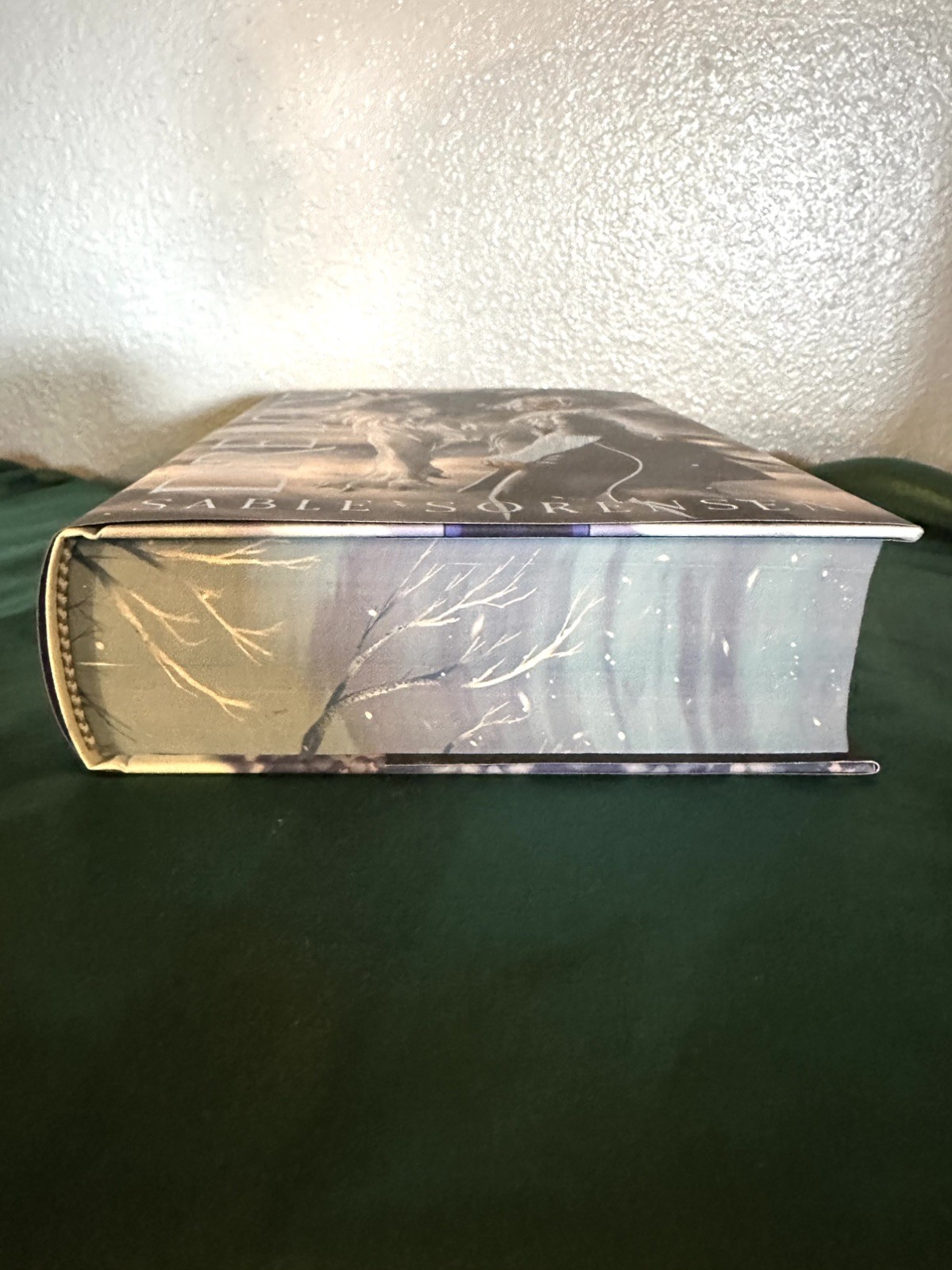 Dire Bound by Sable Sorensen FairyLoot Edition Hand Signed with FairyLoot Box