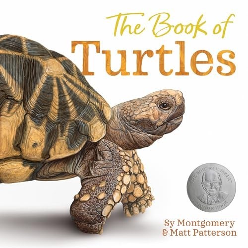 The Book of Turtles – GOOD