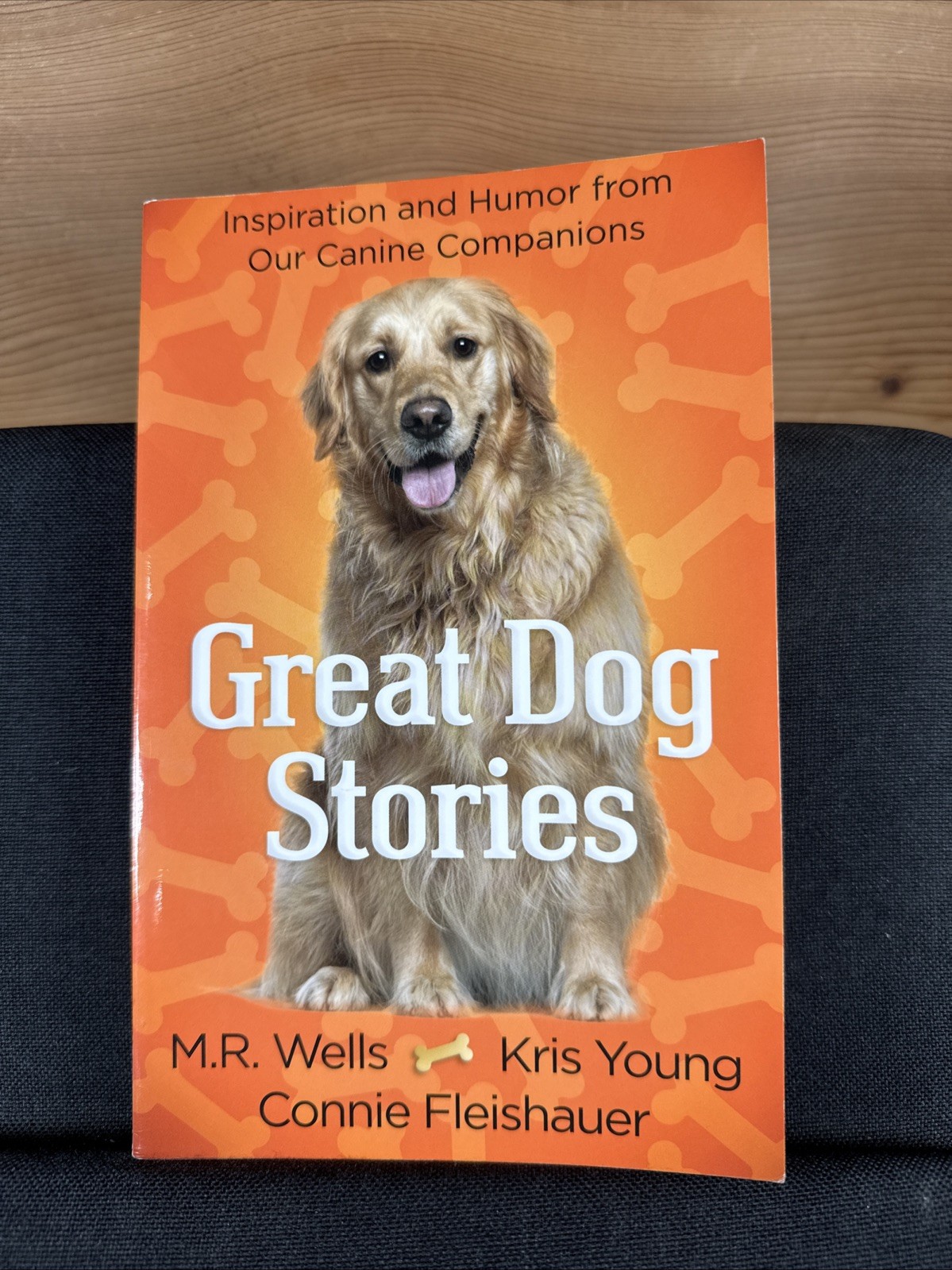 Great Dog Stories by Kris Young, Connie Fleishauer & M. R. Wells 2012 (Trade PB)