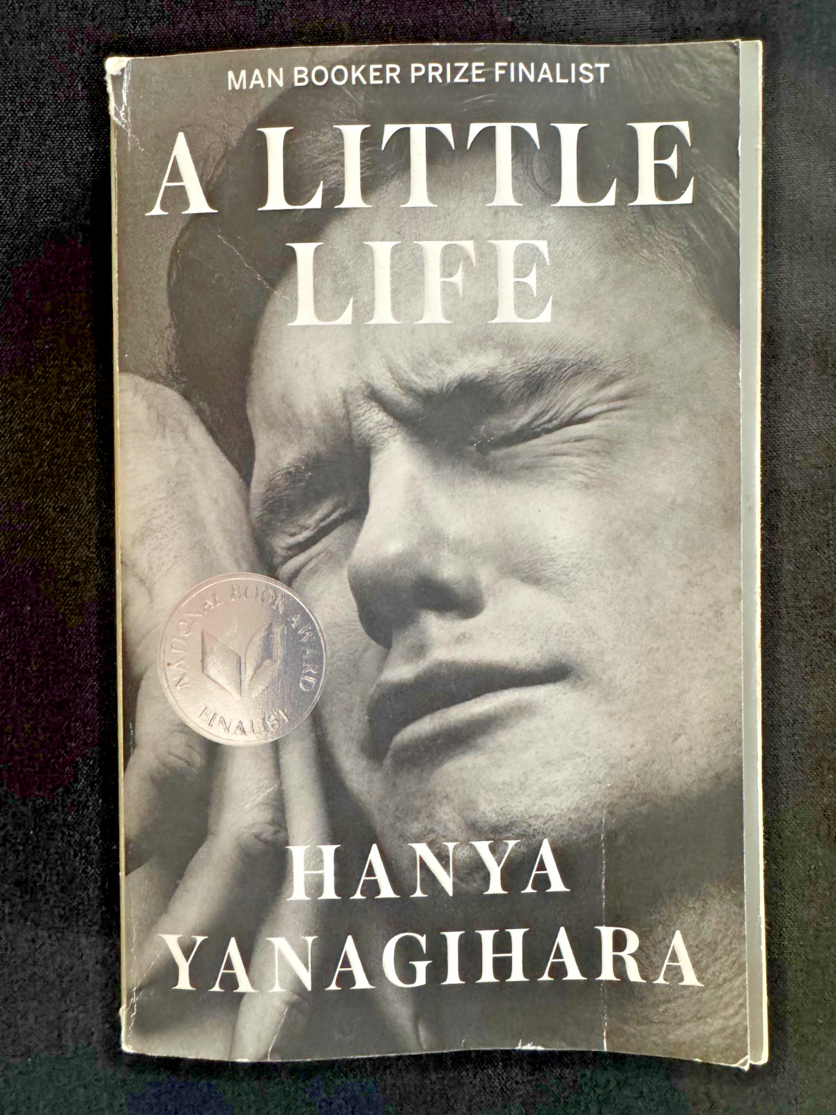 A Little Life by Hanya Yanagihara (2016, Paperback) – Benefits Feeding America