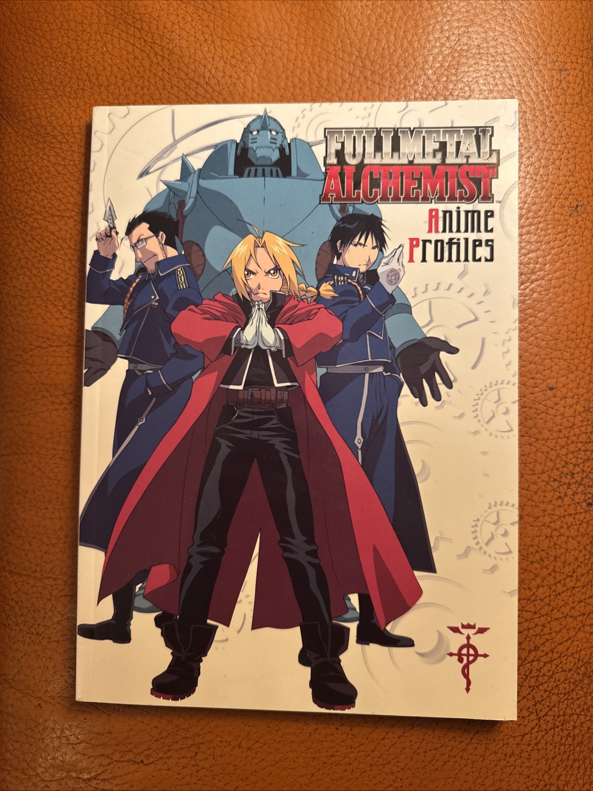 Fullmetal Alchemist Anime Profiles 2004, Viz Media, LIKE NEW Illustrated POSTER