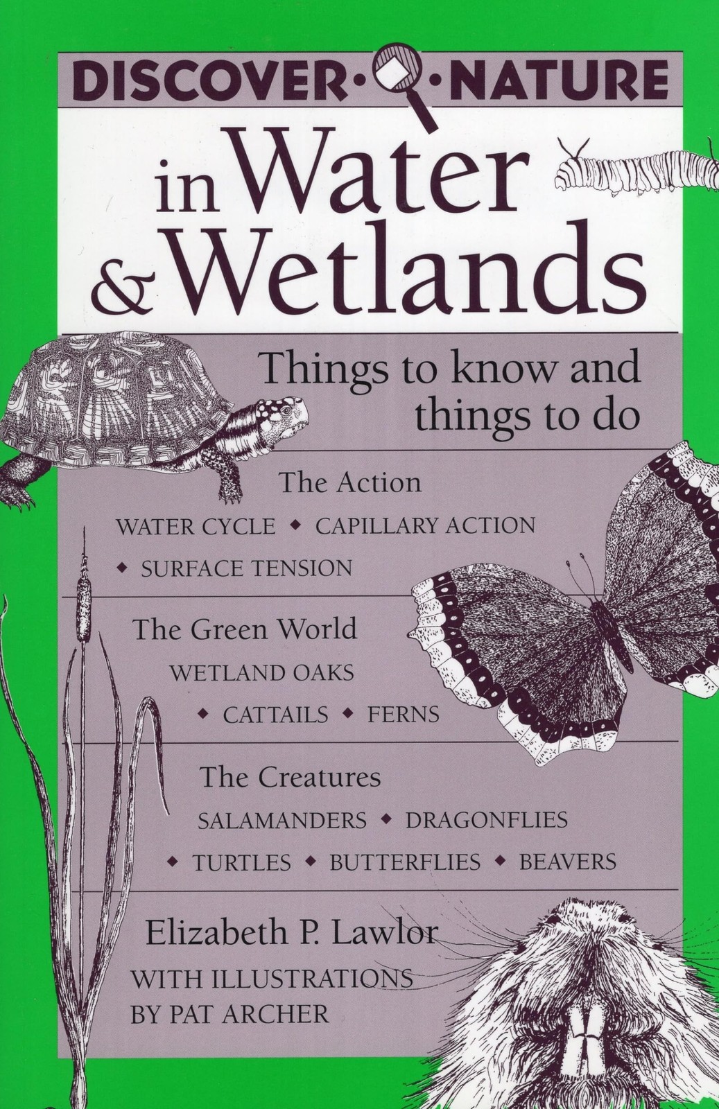 Discover Nature in Water & Wetlands (Discover Nature Series)