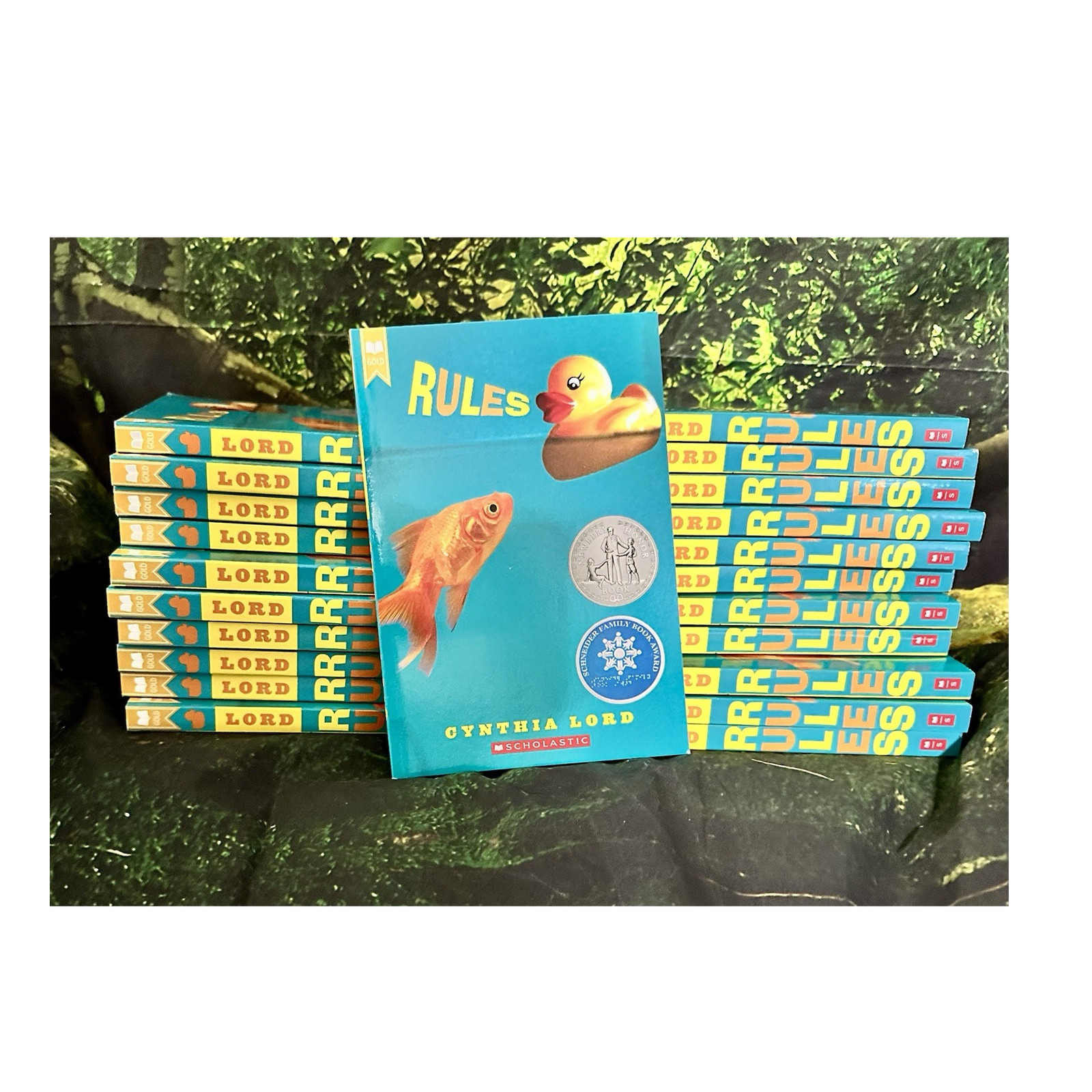 Classroom Set of 22 NEW Books Rules by Cynthia Lord Paperback Ages 9-12