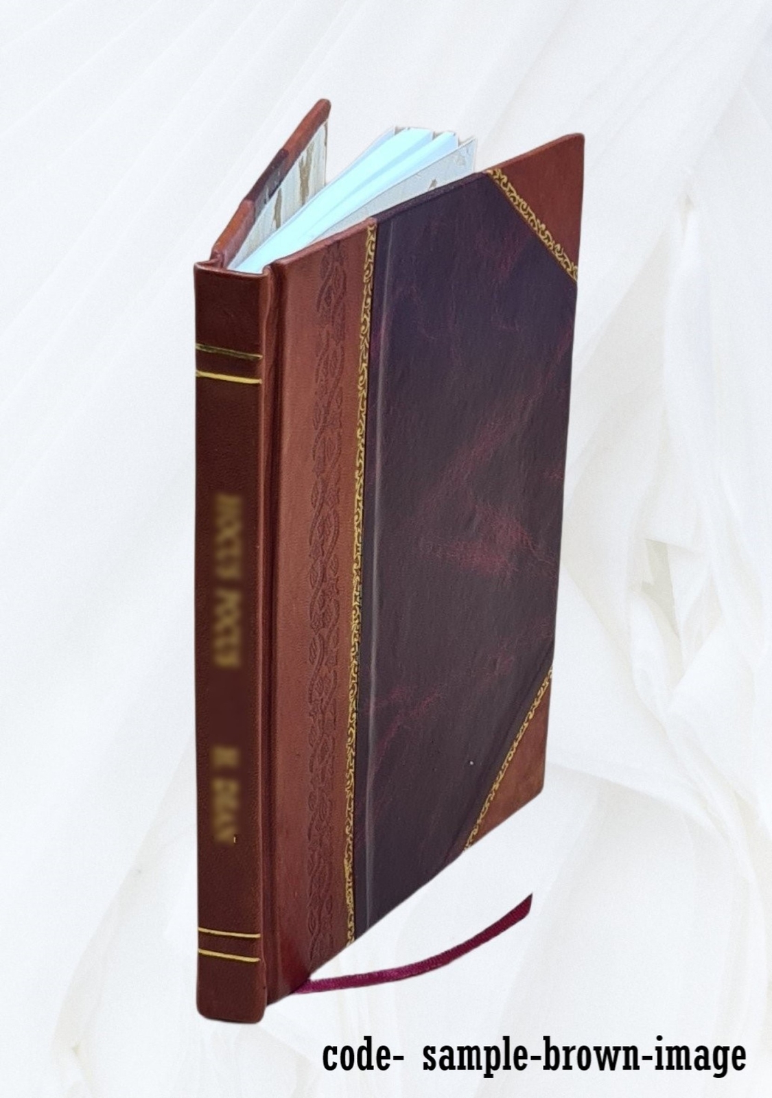 Secret Symbols Of The Rosicrucians Of The 16Th And 17Th Centurie [Leather Bound]