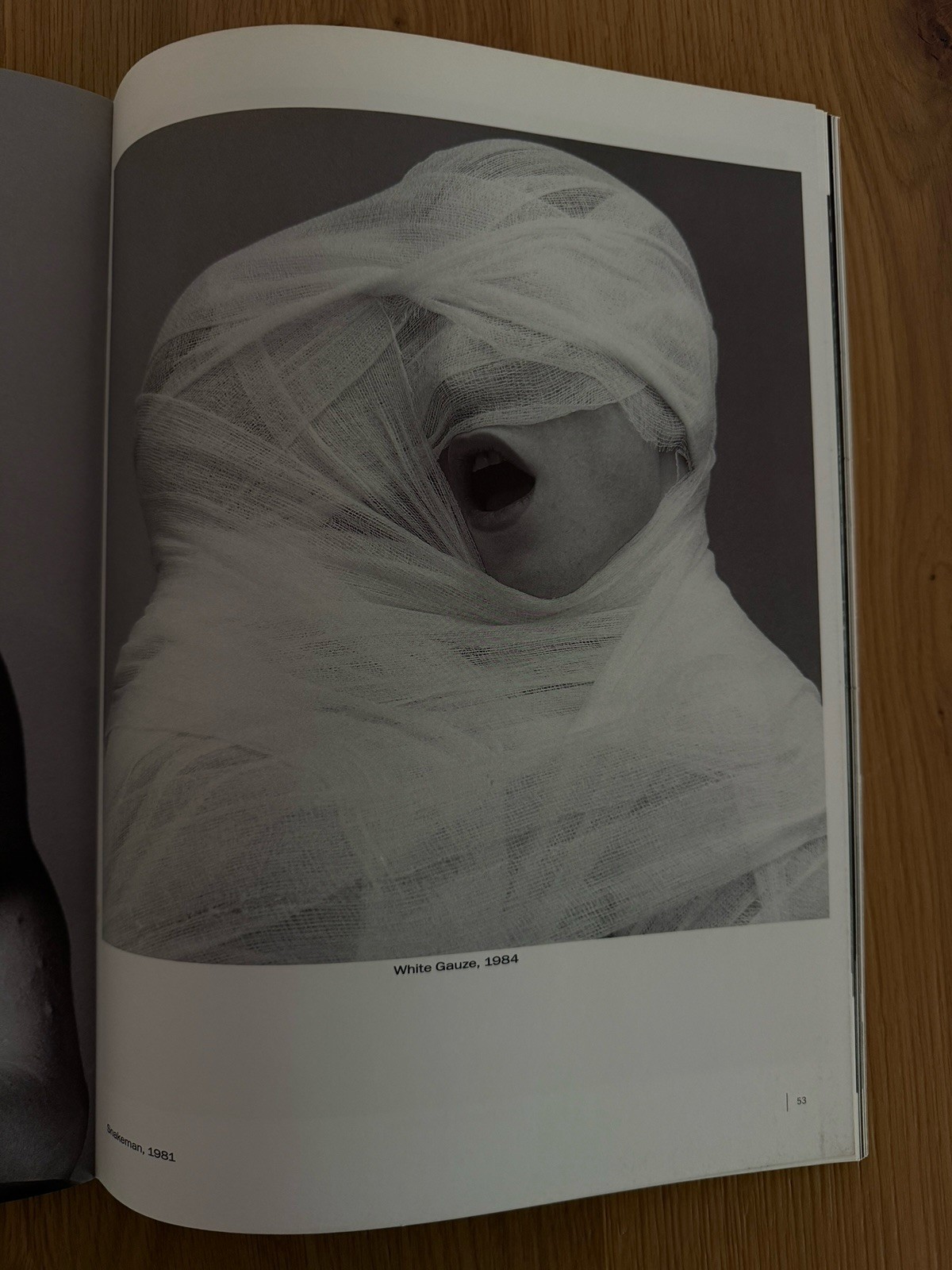 Robert Mapplethorpe by Robert Mapplethorpe (2004, Trade Paperback)
