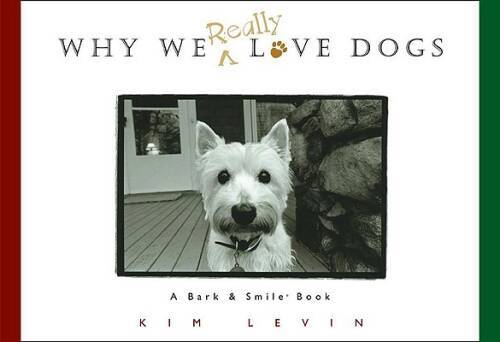 Why We Really Love Dogs – Hardcover By Levin, Kim – GOOD