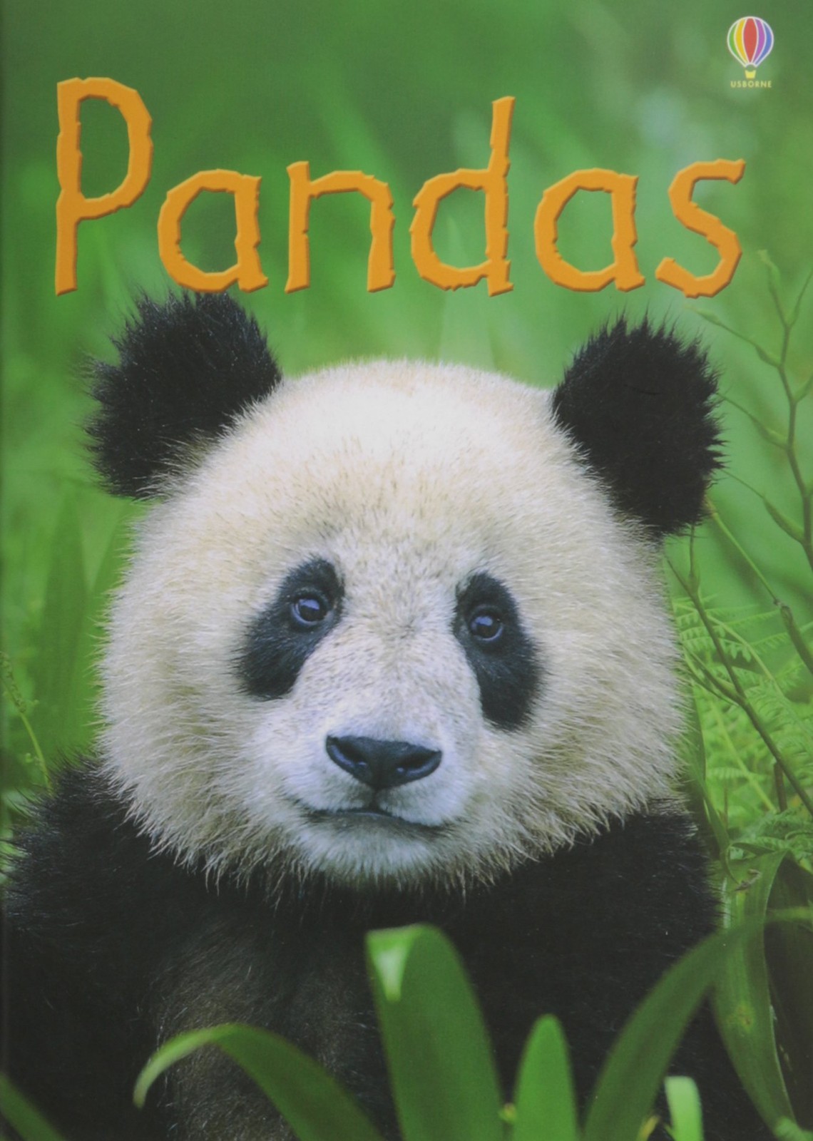 Pandas IR – hardcover James Maclaine