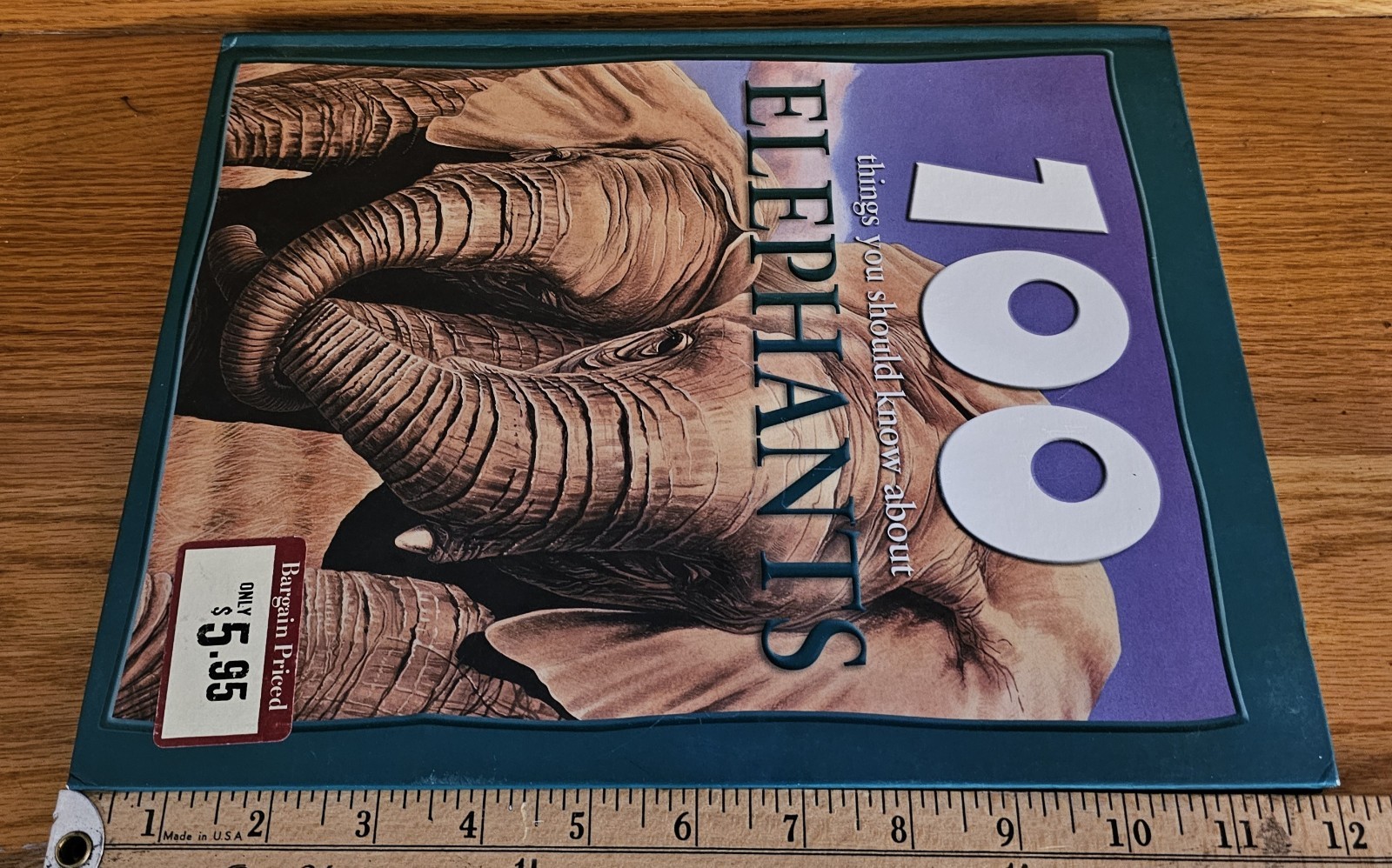 100 Things You Should Know About ELEPHANTS Juvenile Hard Back Book 48 Pages 9×12