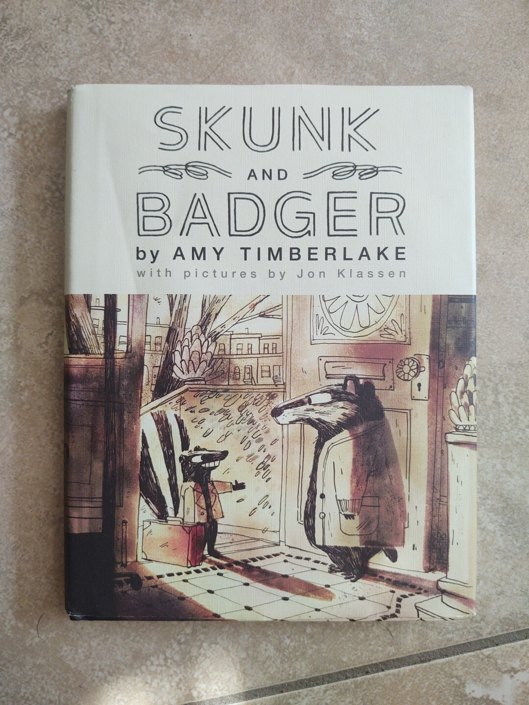 SKUNK AND BADGER Cute Funny Illustrated Story Hardcover Book Amy Timberlake Rock