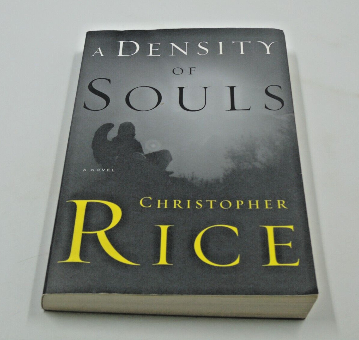 A Density of Souls – Paperback By Rice, Christopher FIRST EDITION – GOOD
