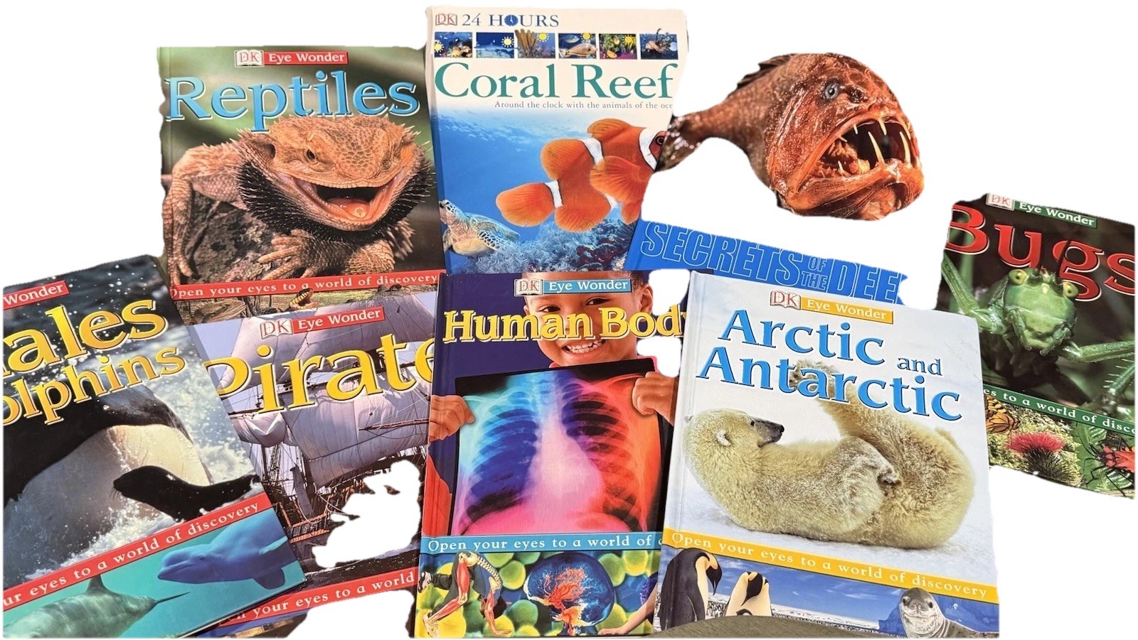 DK Eye Wonder Book Lot 8 Kids Educational Science Ocean Animals Homeschool Set