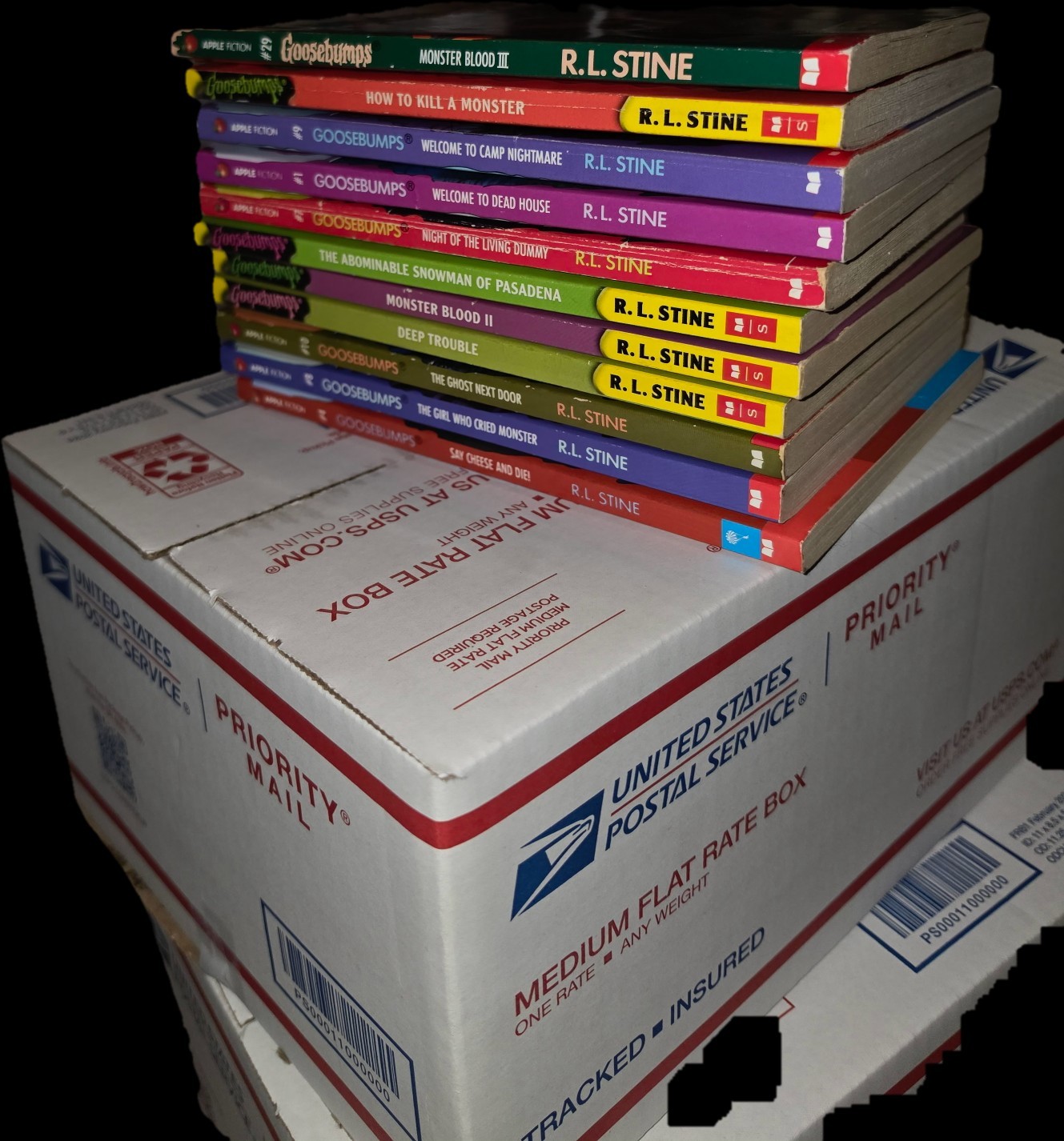 R.L. Stine Goosebumps Book Bundle