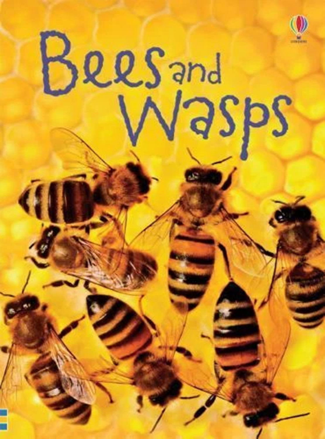 Bees and Wasps (Beginner’s Nature) Hardcover by James MacLaine / Usborne – New!