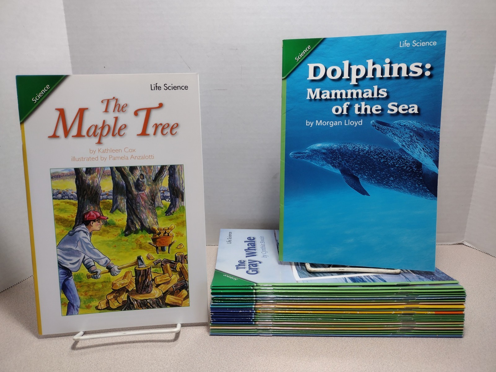 Scott Foresman Reading Street Grade 4 Lot of 22 Science, Social Studies, Reading