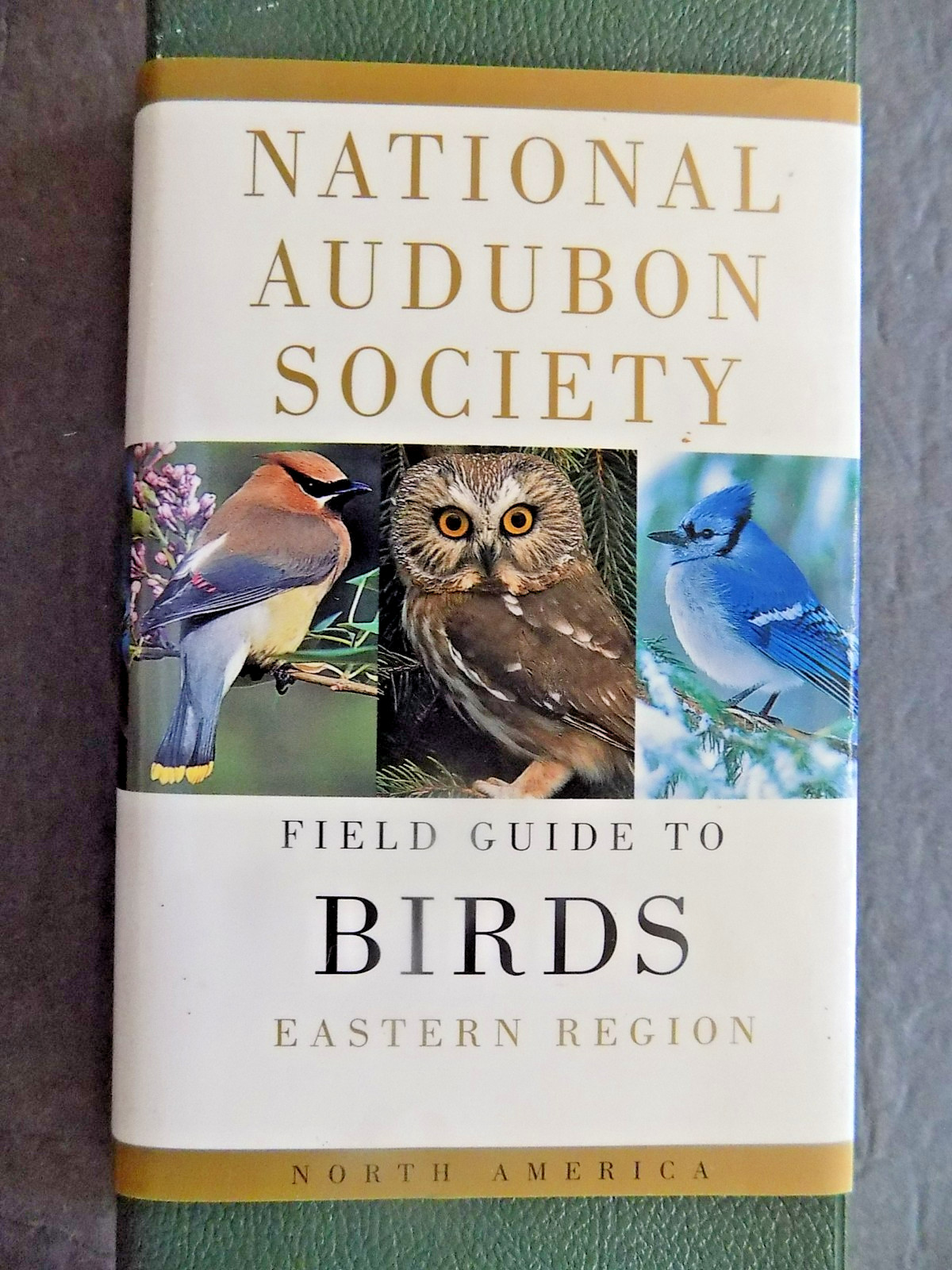 FIELD GUIDE TO BIRDS : eastern region ; National Audubon Society , NEW